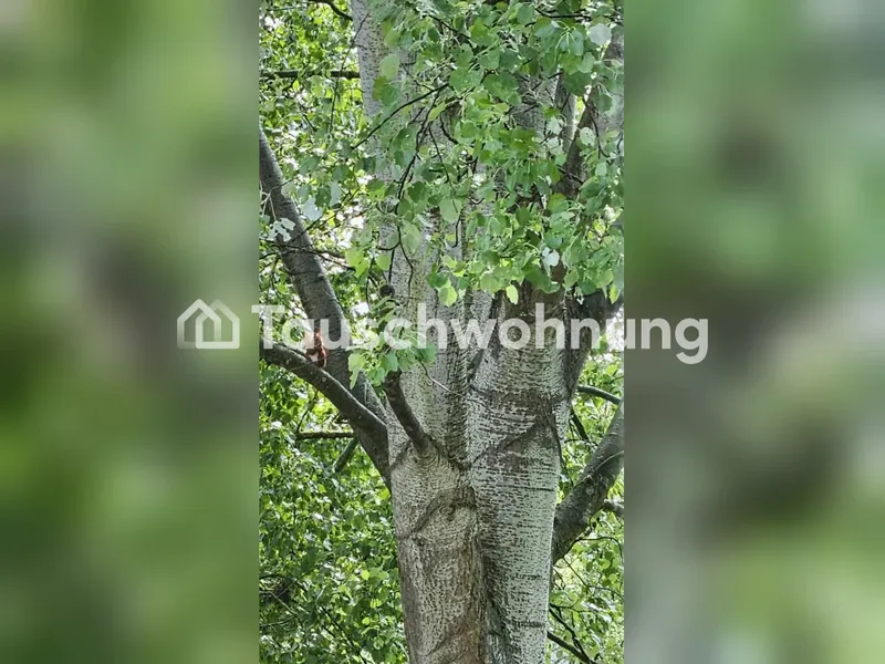 Tauschwohnung: Helle 3 Zi. in Berlin-Pankow gegen 1 bis 2 Zi. in Berlin — photo 1